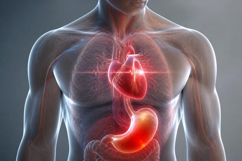 découvrez comment les problèmes d'estomac peuvent influencer les extrasystoles cardiaques et apprenez des stratégies efficaces pour gérer les douleurs associées.